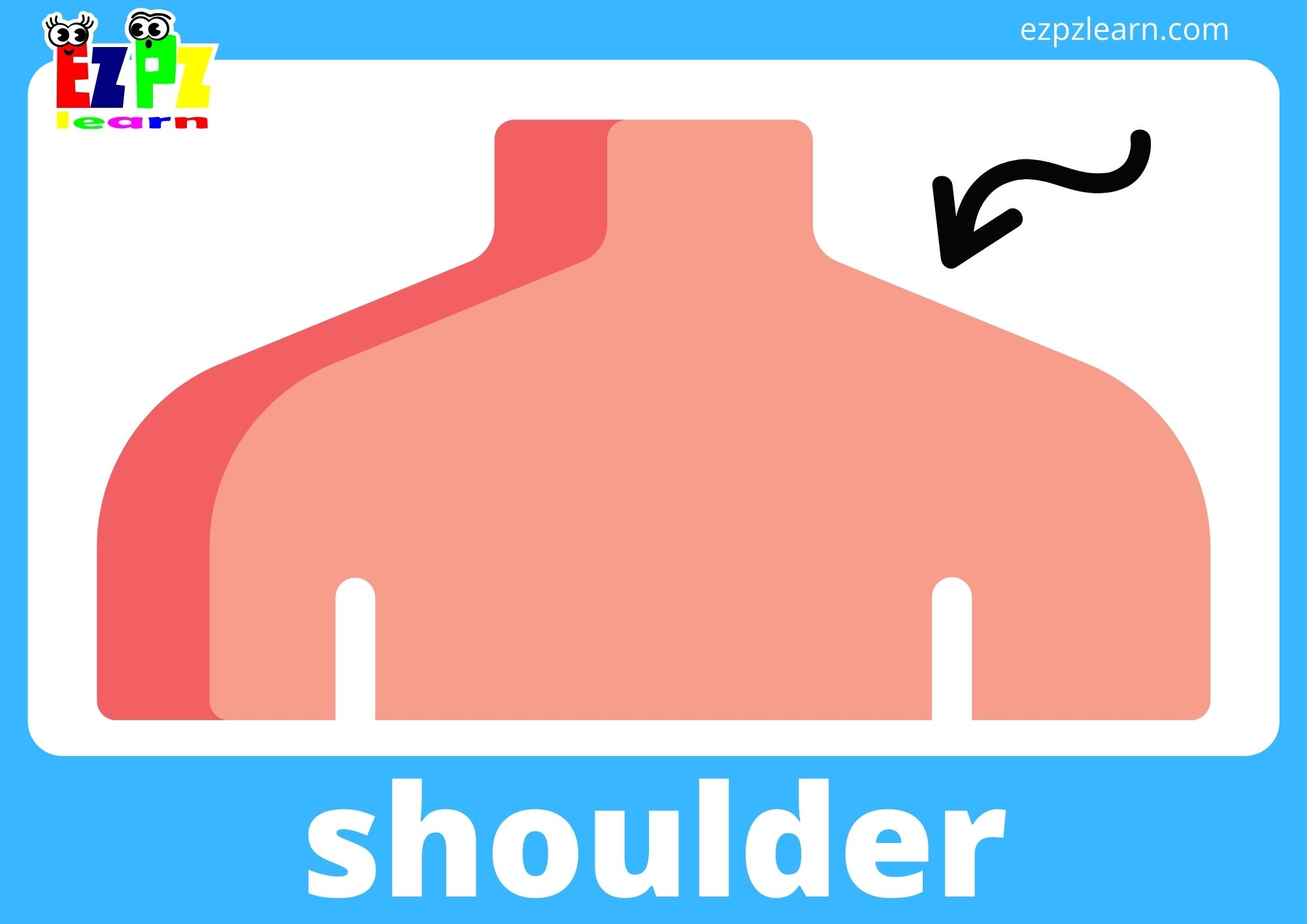 shoulder